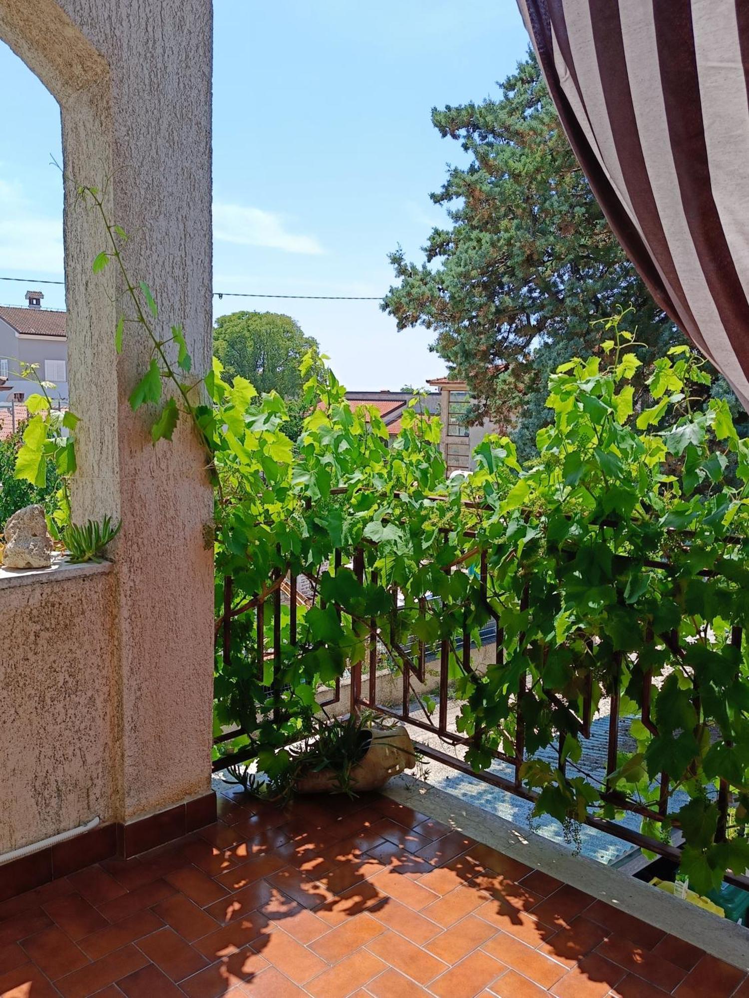 PUY Apartments Villa Laura מראה חיצוני תמונה